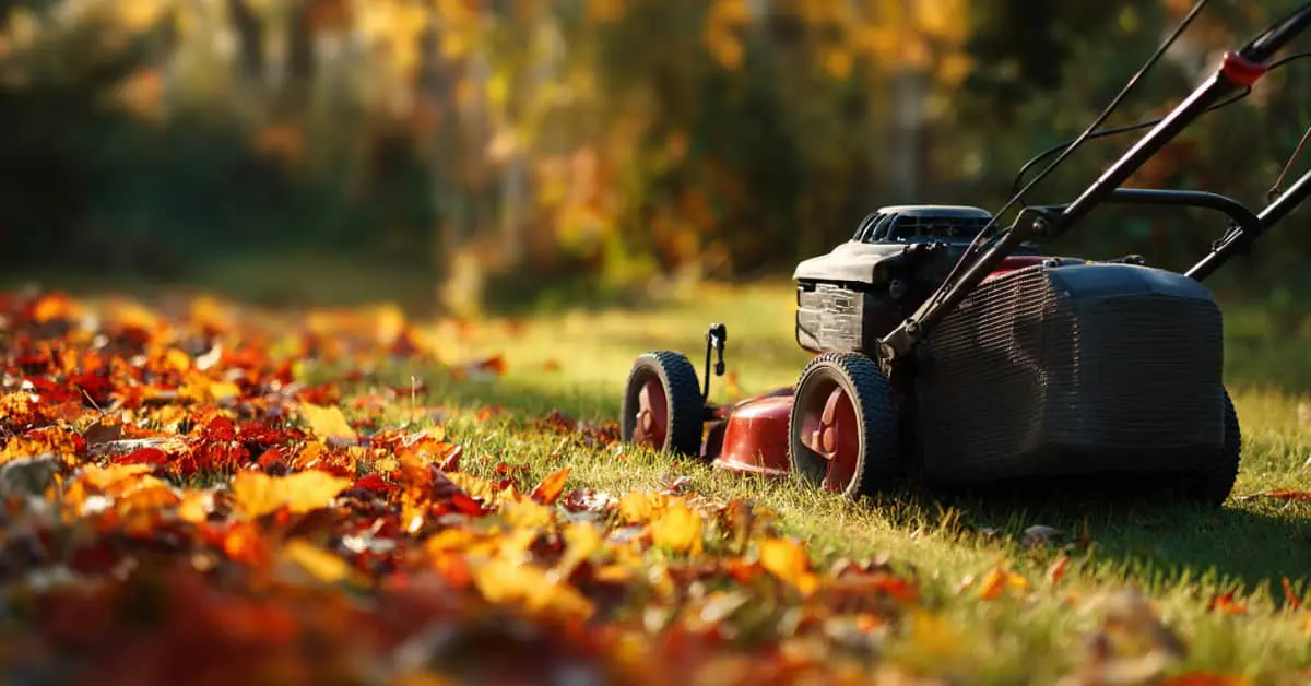 lawn mower and leaves, concept of Should You Cut Grass in October?