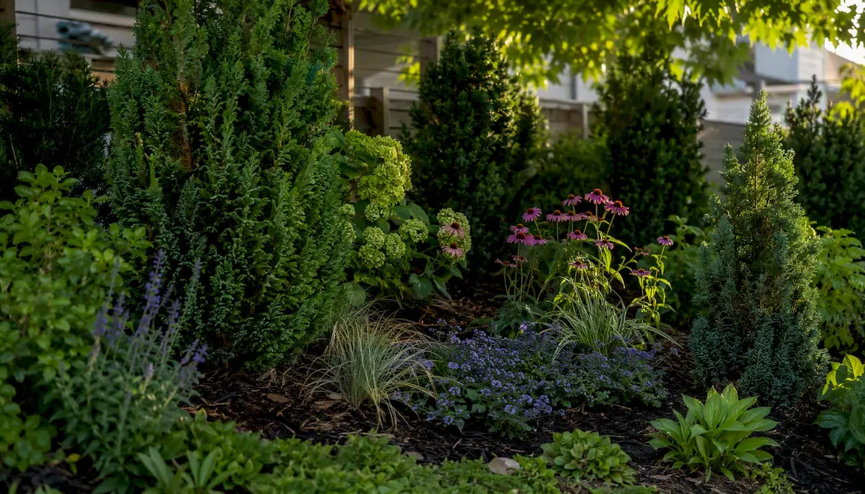 Layered planting design with drifts of shrubs and perennials