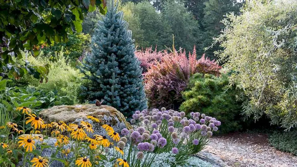 Layered deer-resistant plants in a NJ yard