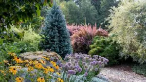 Layered deer-resistant plants in a NJ yard