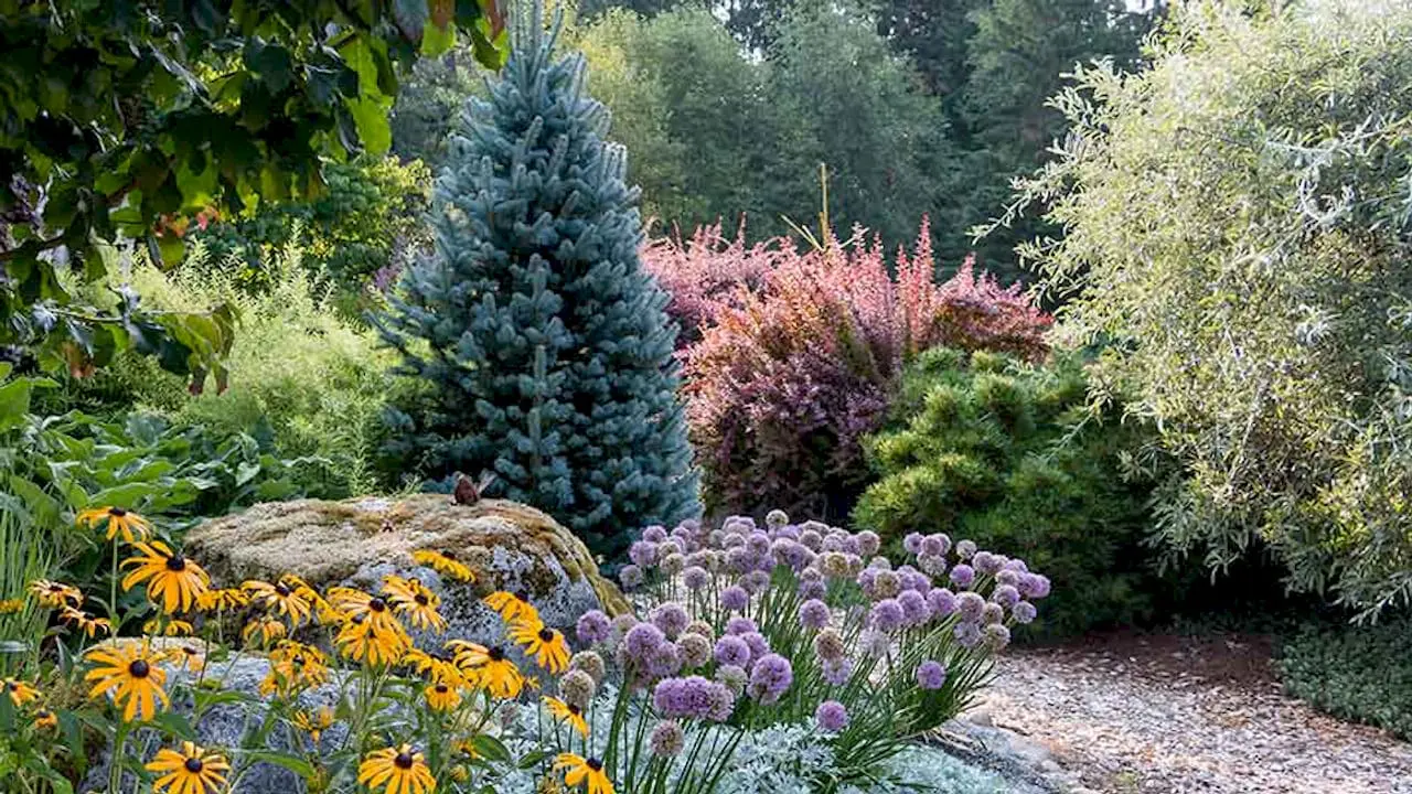 Layered deer-resistant plants in a NJ yard