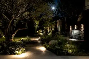 Landscape lighting illuminating yard at night