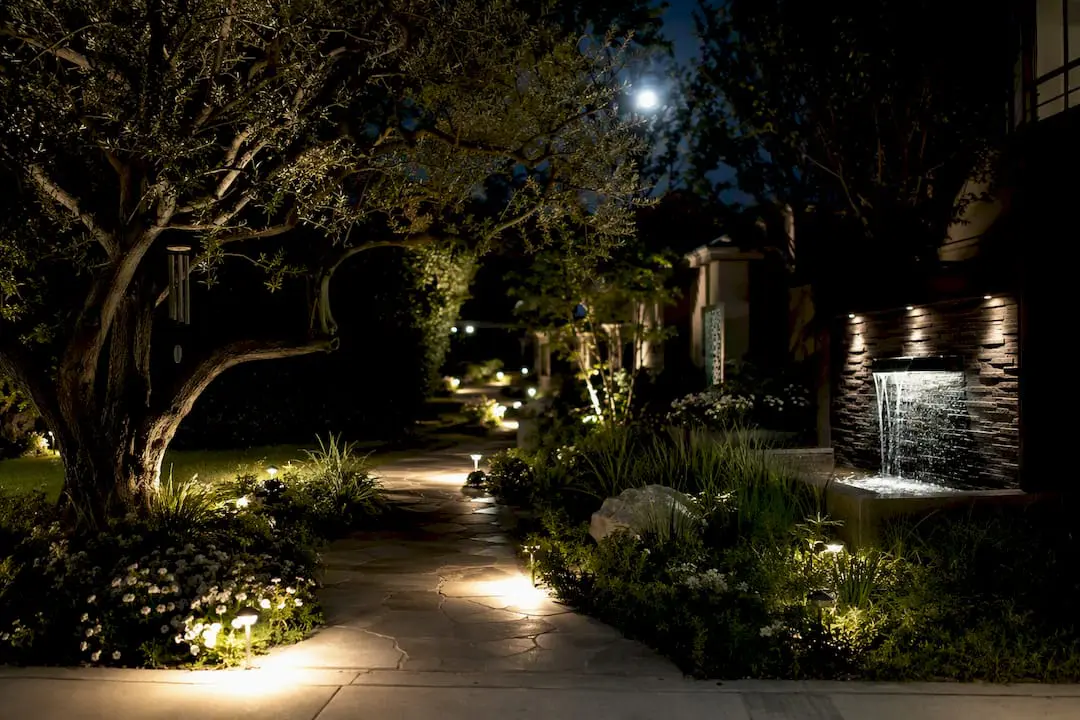 Landscape lighting illuminating yard at night